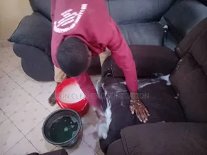 General Cleaning Sofa Mattress Fumigation/Pest Control