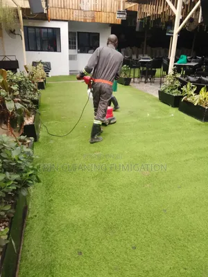 Carpet Grass and Wall Carpet Cleaning