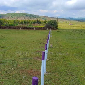 Phase 5 of Longonot View, Plots Measuring 50 by 100ft