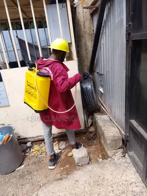 Instant Bedbugs and Cockroaches Services