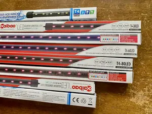 Color Your Tank With Led Submersible Aquarium Lights Magic