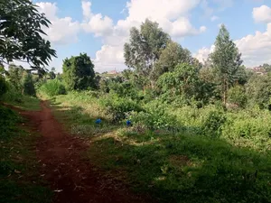 Plots for Sale in Munyaka-Kerienye