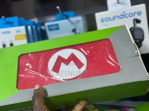 Mario's Nintendo Case