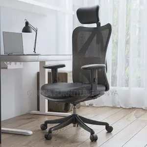 Office Chair:Orthopedic Office Seat -Adjustable Back Angle