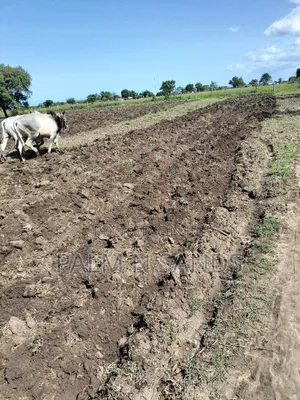 Kidomaya 38 Acre Farm Land on Sale! 