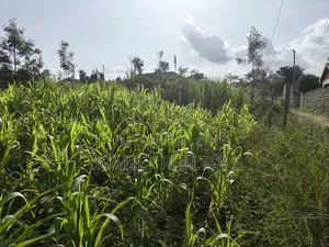 Quarter Acre Plot in Ngong, Ol Keri 50 Meters From Tarmac