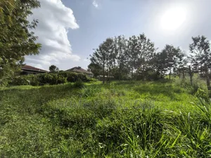 Eighth Acre Plot in Ngong's Ol Keri Near the Tarmac