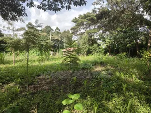Half Acre Plot on Sale in Ngong, Ol Keri With Good View