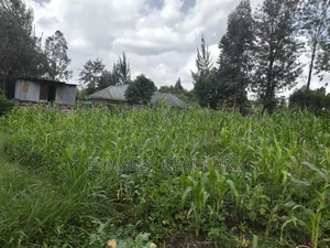 Quarter Acre Plot on Sale in Ngong, Ol Keri With a Good View