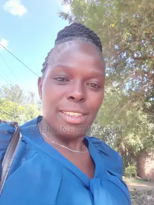 Housekeepers and Cleaners