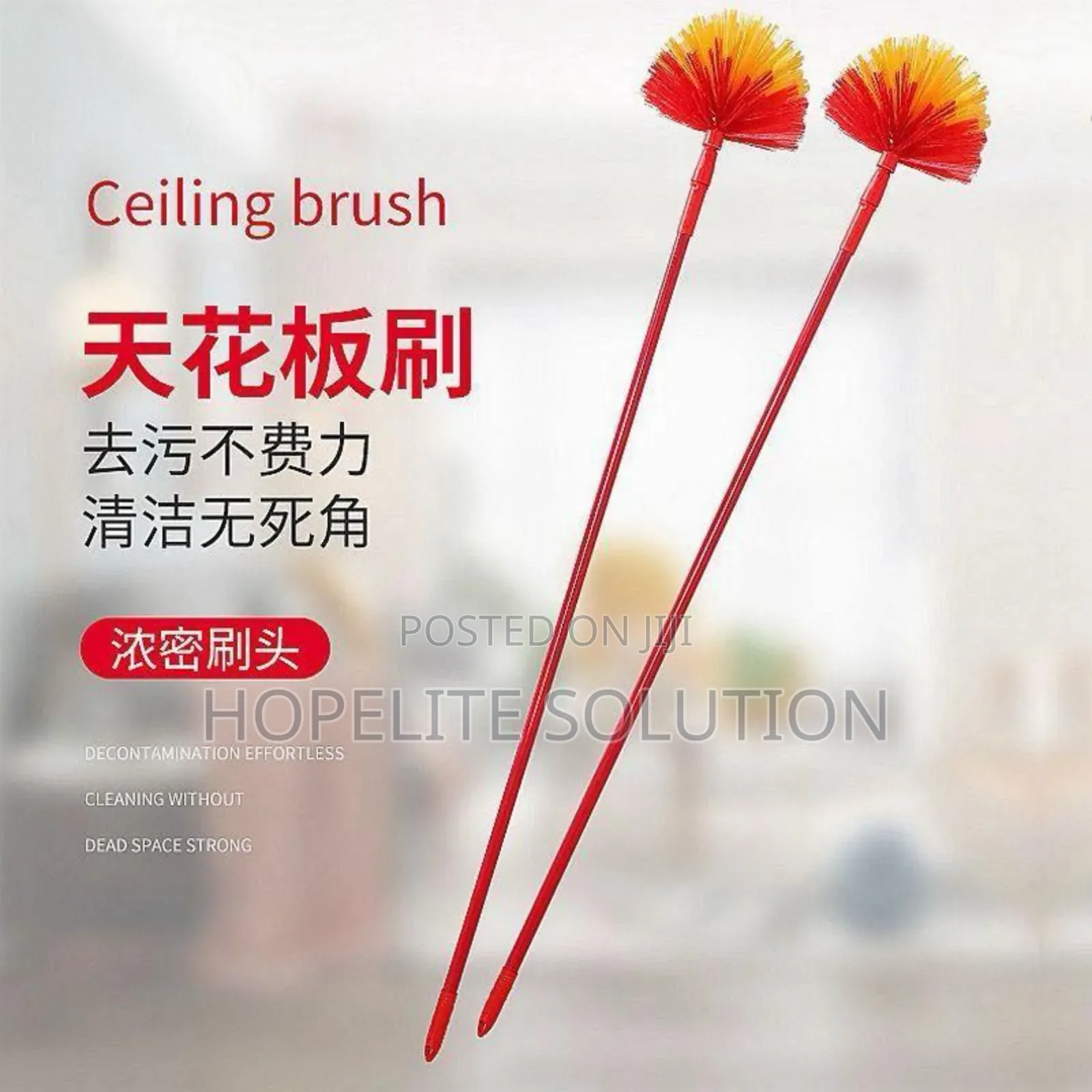 Expandable Cobweb Broom