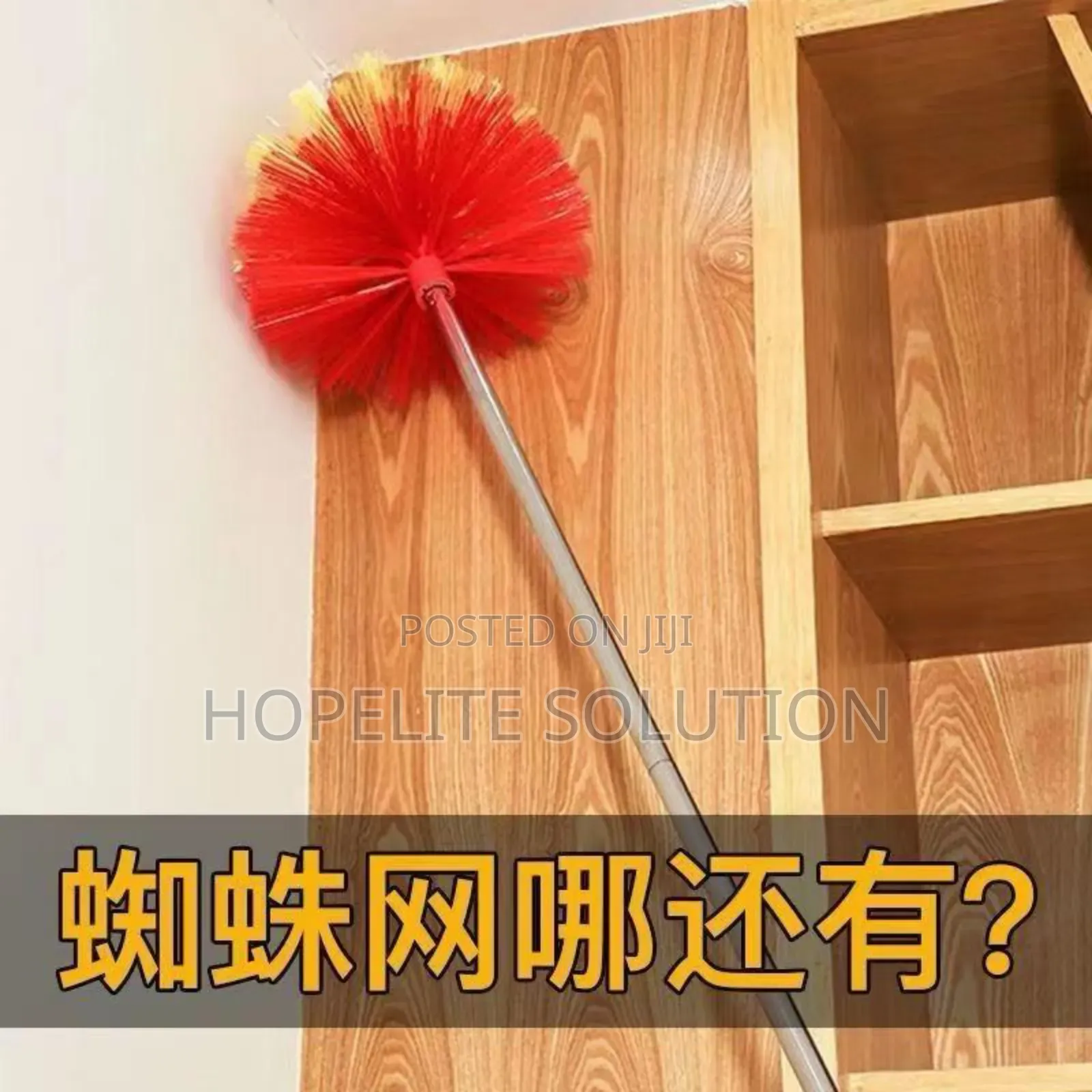 Expandable Cobweb Broom