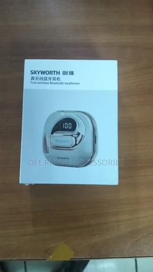 Sky Worth True Wireless Earphones