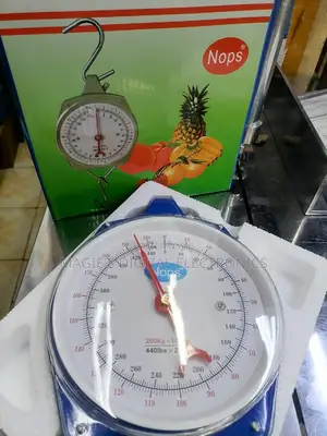 High Standard 150kgs Hanging Scale