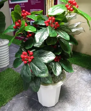 Quality Artificial Plants for Outside