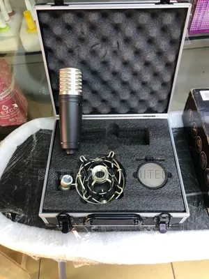 Samson Mtr231 Condenser Microphone With Shockmount Case