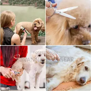 Professional Rechargeable Electric Dog Clipper Kit