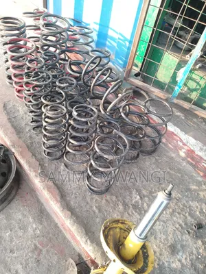 Suzuki Alto Coil Springs