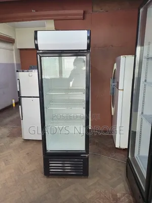 Well Maintained Chiller ( 400l With Canopy)