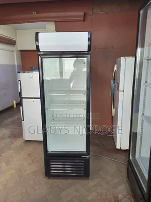 Well Maintained Chiller ( 400l With Canopy)