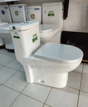 New One Piece Toilet Available