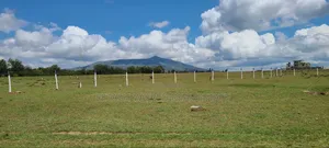 Prime Plots 1km Feom the Highway,50 by 100