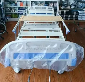 Hospital Bed Double Cranks