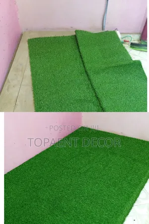 Splendid and Decorative Outdoor Artificial Grass Carpet