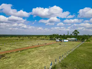 50x100ft Plot | Juja Farm | Water on Site | 1.2m Only^Sk