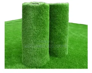 Lush Green Grass Carpet