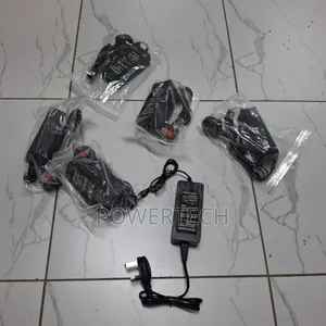 Hoverboard's Charger