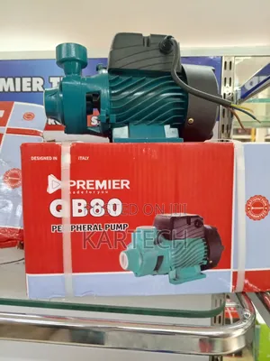 Premier Qb80 Booster Pump