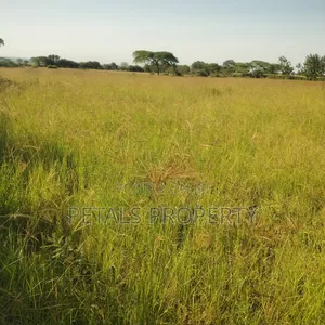 2.5 Acres for Sale in Kampi Ya Moto, Molo River Area.