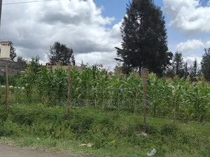 Half Acre Plot in Ngong, Along Merisho Rd, Touching Tarmac