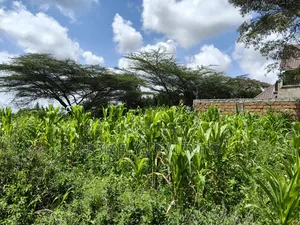 Eighth Acre Plot in Ngong, Ol Keri 100 Meters From Tarmac