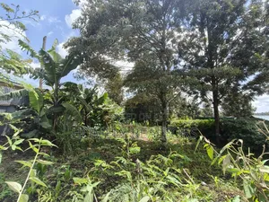 Half Acre Plot on Sale in Ngong, Ol Keri Touching the Tarmac