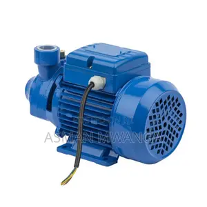 Water Pump 0.5hp