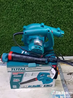 High Standard 650w Total Air Blower