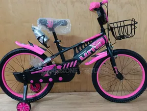 Luta Bike With Flame/ Size 20 Luta Bicycle