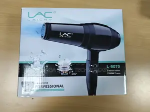 High Quality Professional Commercial Hair Dryer L-9070.