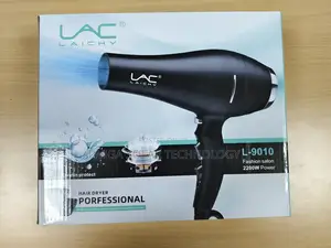 Professional Commercial Hair Dryer L-9010