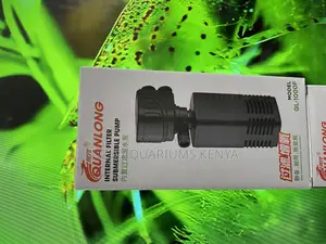 Ql Filter Pumps — Built for Clarity, Designed to Last