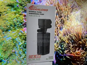 From Betta Bowls to Big Tanks —Ql Filter Pumps Handle It All
