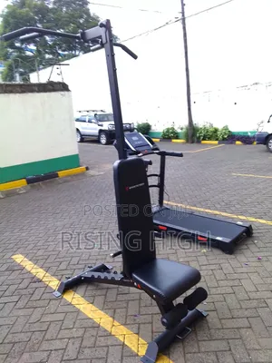 Strength Training Adjustable Gym Bench