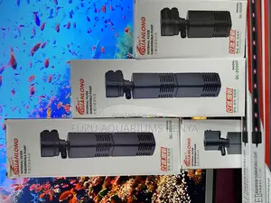 Filter Pump Below the Surface – Maximum Efficiency