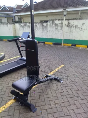 Foldable and Portable Adjustable Gym Bench