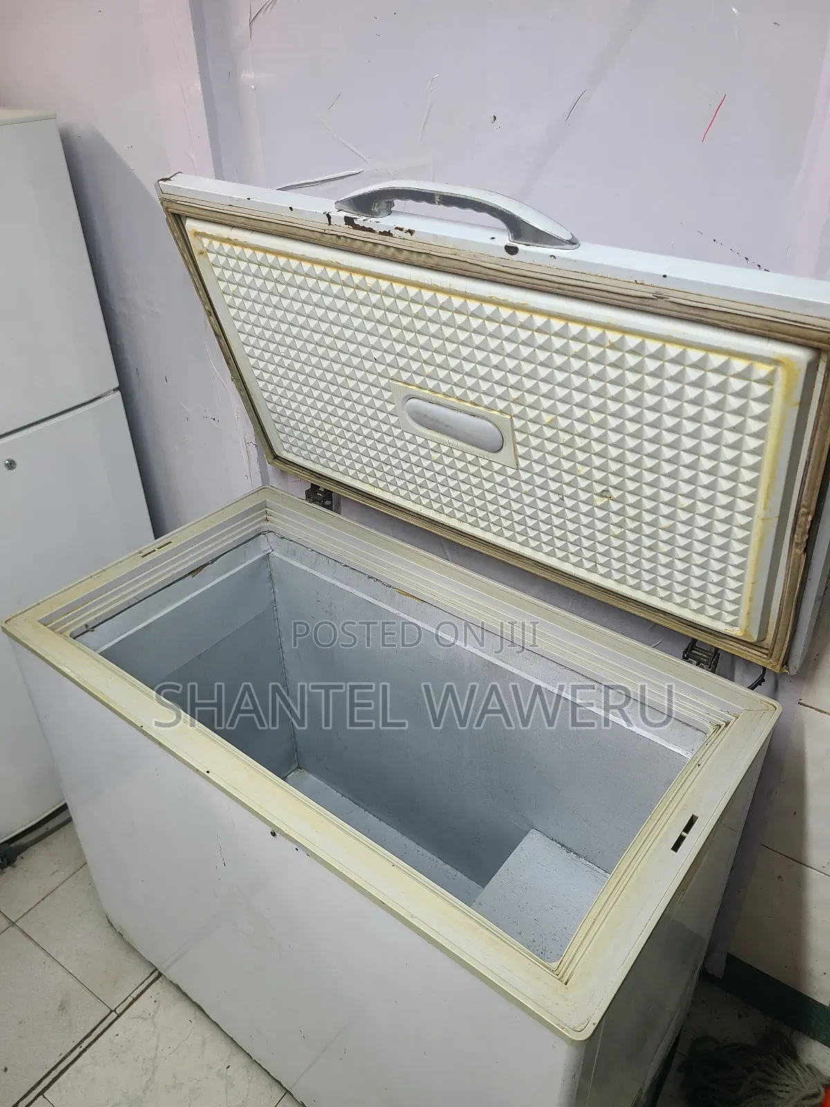 Milk Deep Freezer 230litres