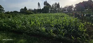 1⁄2 Acre With 2 Bedrooms for Sale in Kipkenyo Eldoret Simat