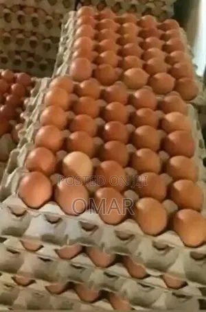 Yellow Yolk Eggs