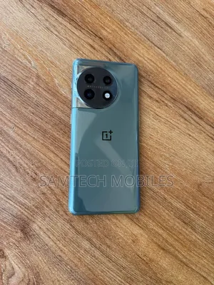 OnePlus 11 256 GB Gray